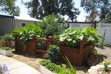 8'x12' Just Add Lumber Vegetable Garden Kit